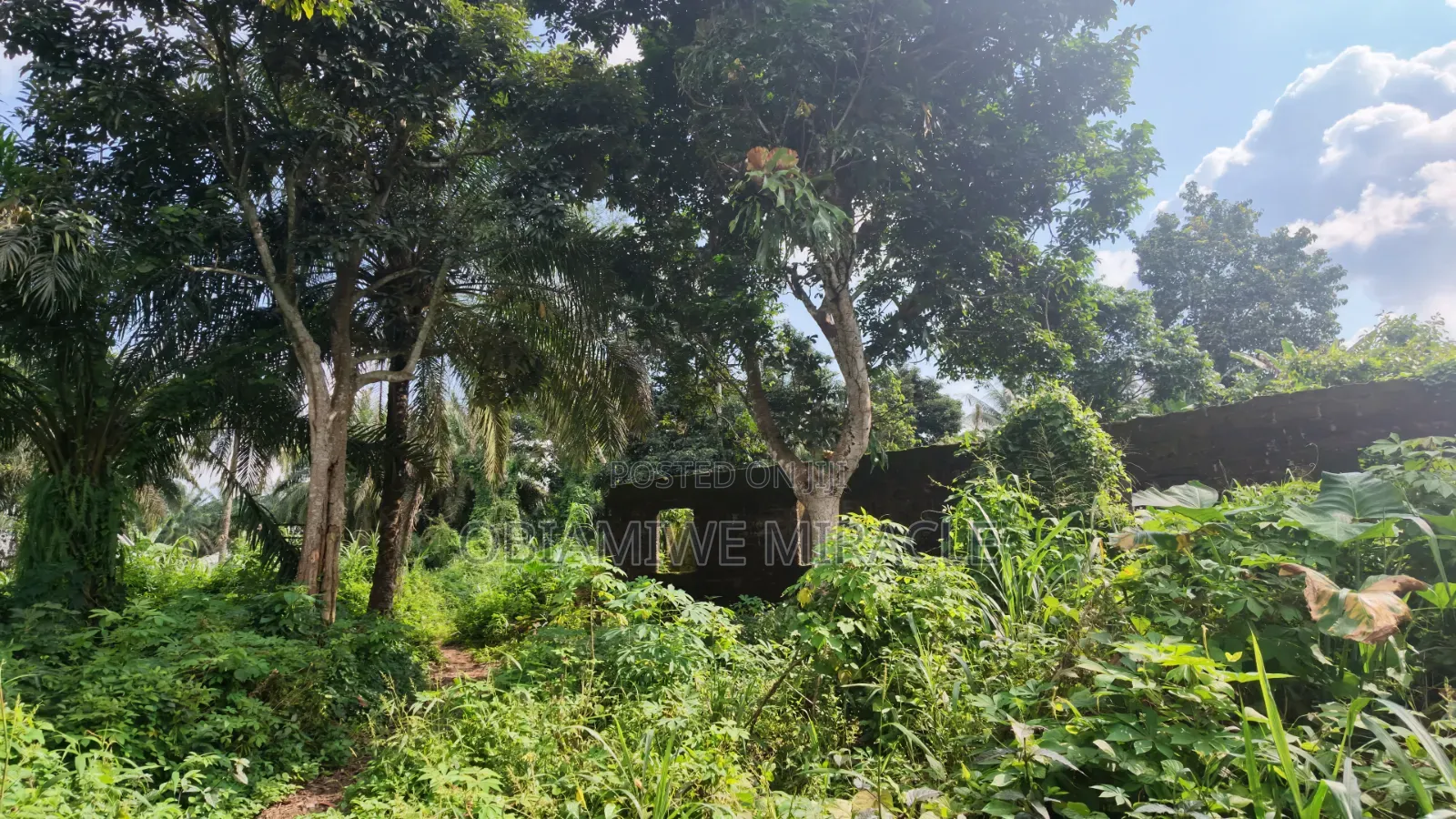 4 Plots of Land Available Umuahia in Umuahia