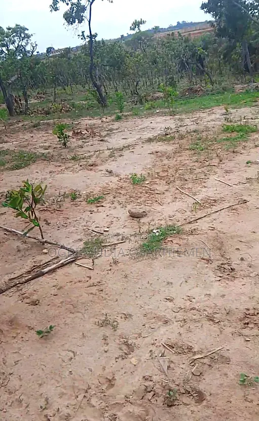 500sqm Estate Land for 4Bedroom Fully Detached Penthouse+BQ With CofO in Guzape District