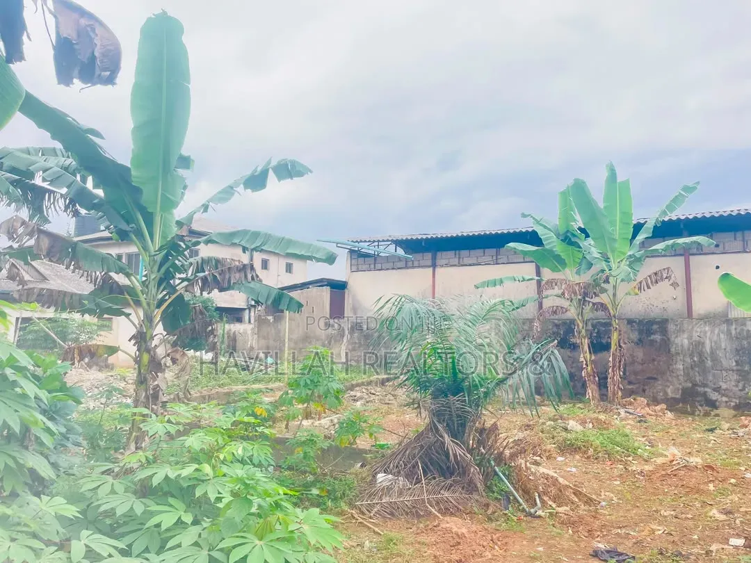 Half Plot of Land for Sale in Ifako-Ogba