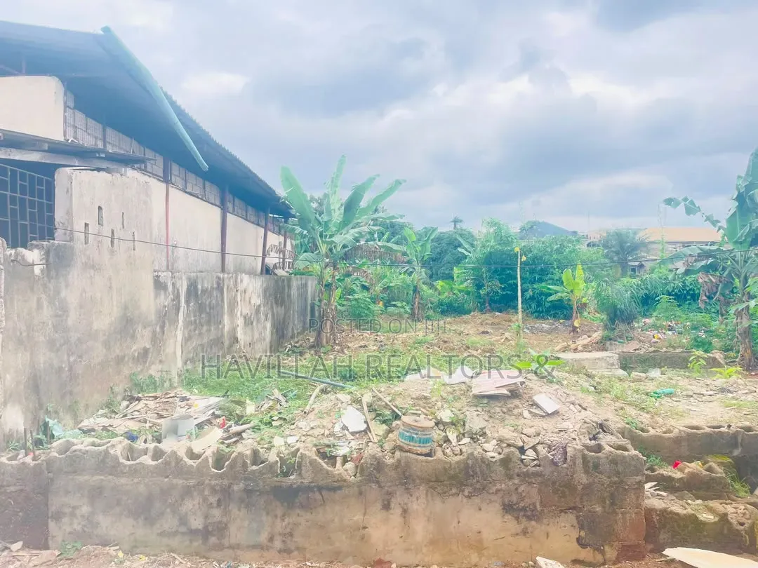 Half Plot of Land for Sale in Ifako-Ogba