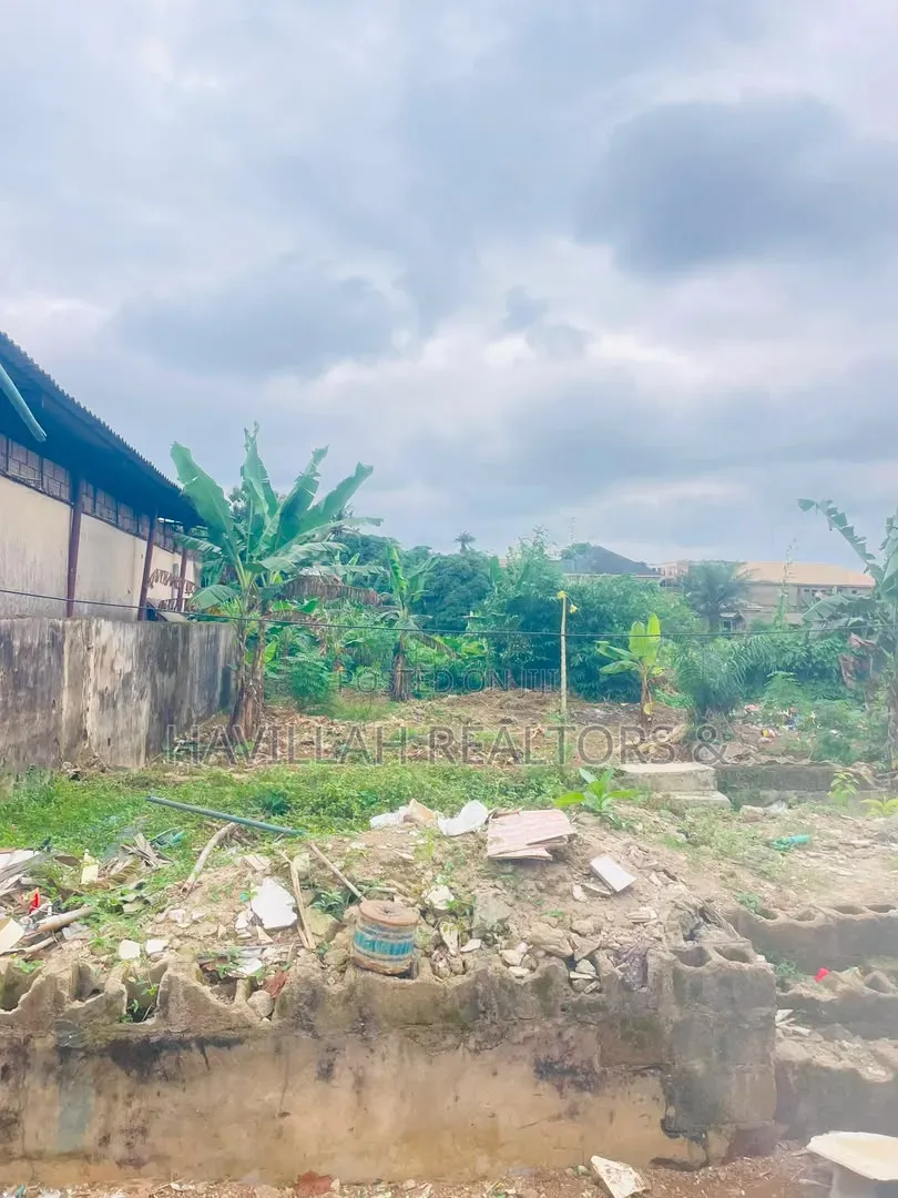 Half Plot of Land for Sale in Ifako-Ogba