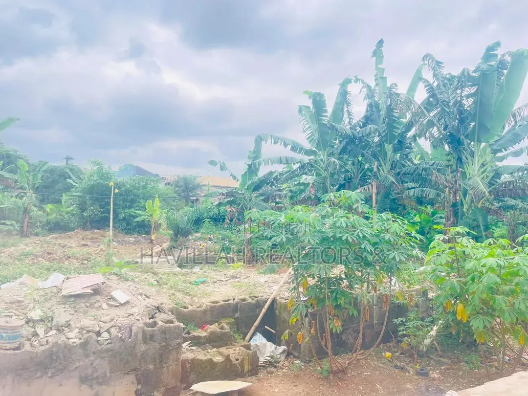 Half Plot of Land for Sale in Ifako-Ogba