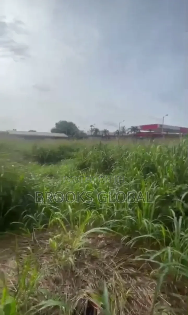 A Flat Land of 100/200 Feet Along Isiohor, Benin Lagos Rd for Sale in Benin City