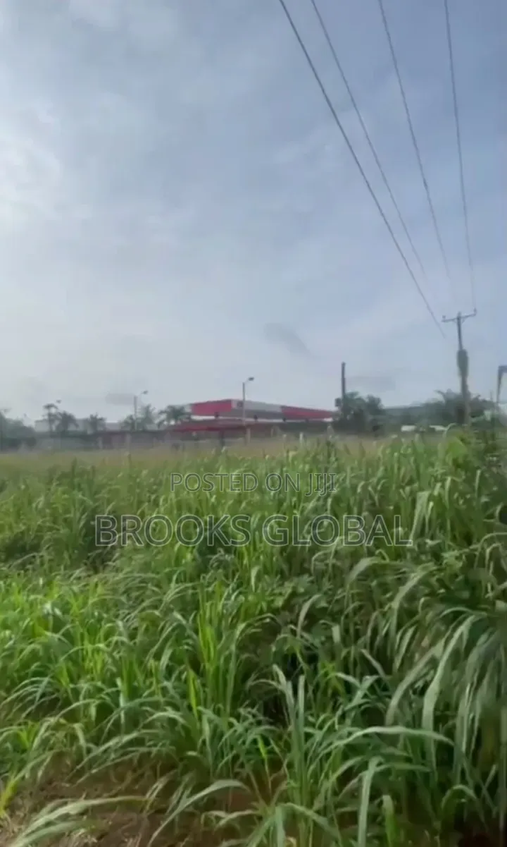 A Flat Land of 100/200 Feet Along Isiohor, Benin Lagos Rd for Sale in Benin City