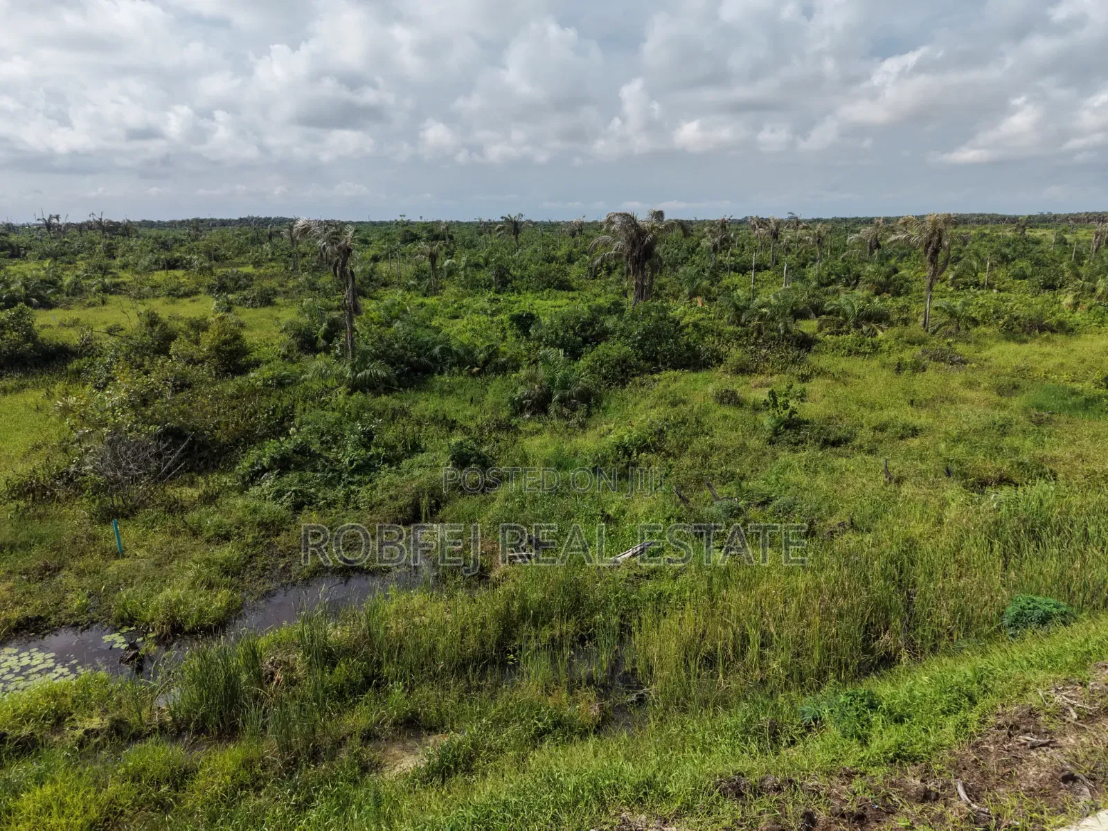 Premium Coastal Road Land for Sale Ogombo, Lagos in Ogombo