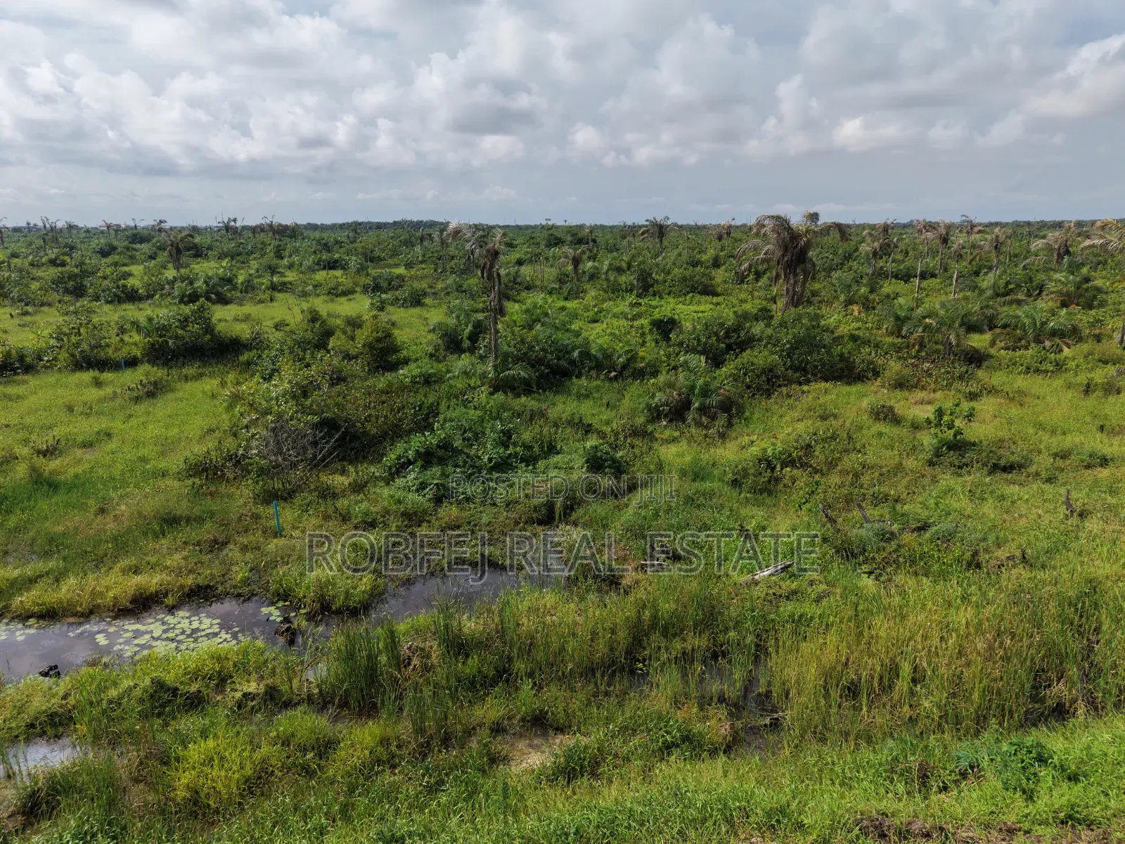 Premium Coastal Road Land for Sale Ogombo, Lagos in Ogombo