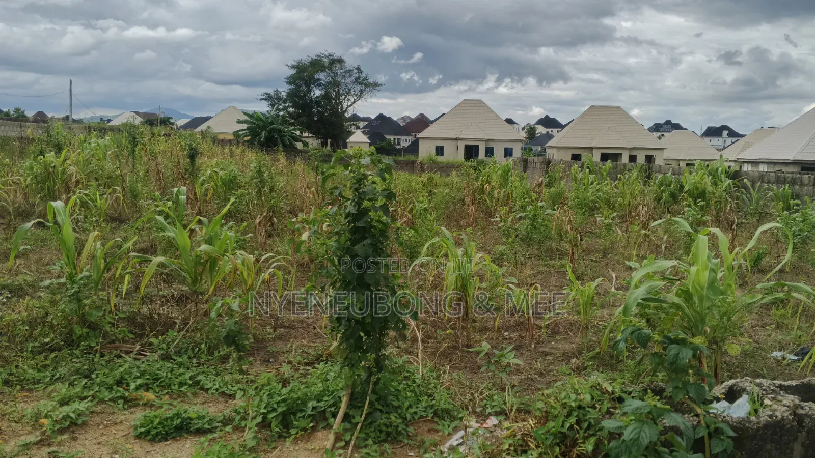 About 1000sqm. Land for Sale in Phase 4 / Jikwoyi