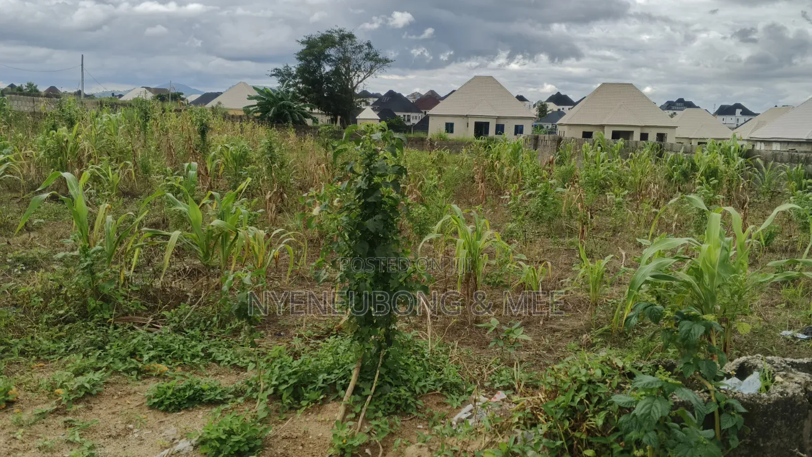 About 1000sqm. Land for Sale in Phase 4 / Jikwoyi