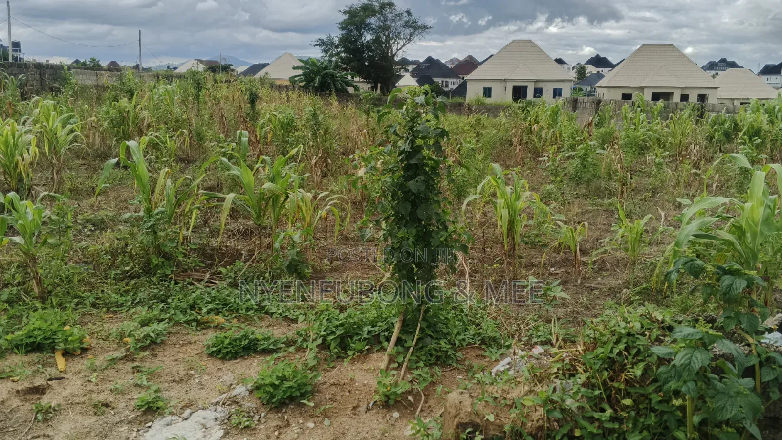 About 1000sqm. Land for Sale in Phase 4 / Jikwoyi