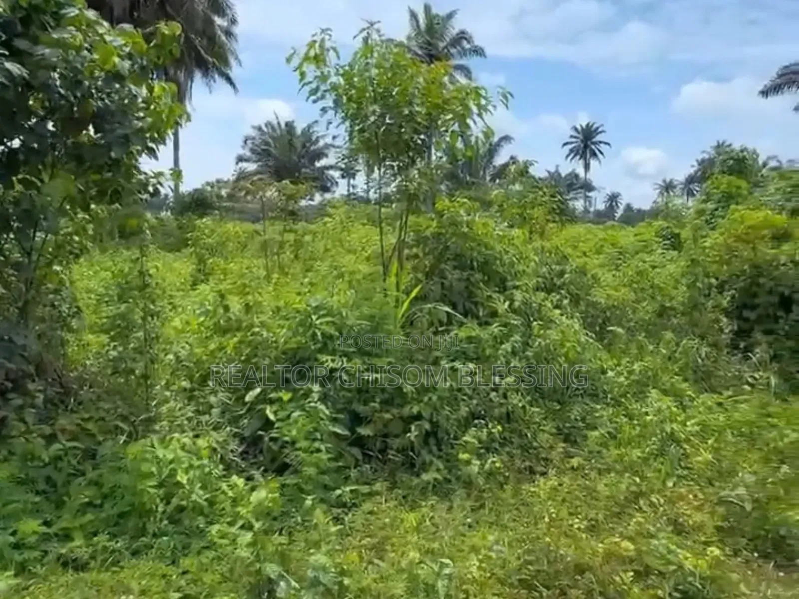 Standard 465sqm Plot at Alma's Court and Garden Omagwa - Port Harcourt in Omagwa
