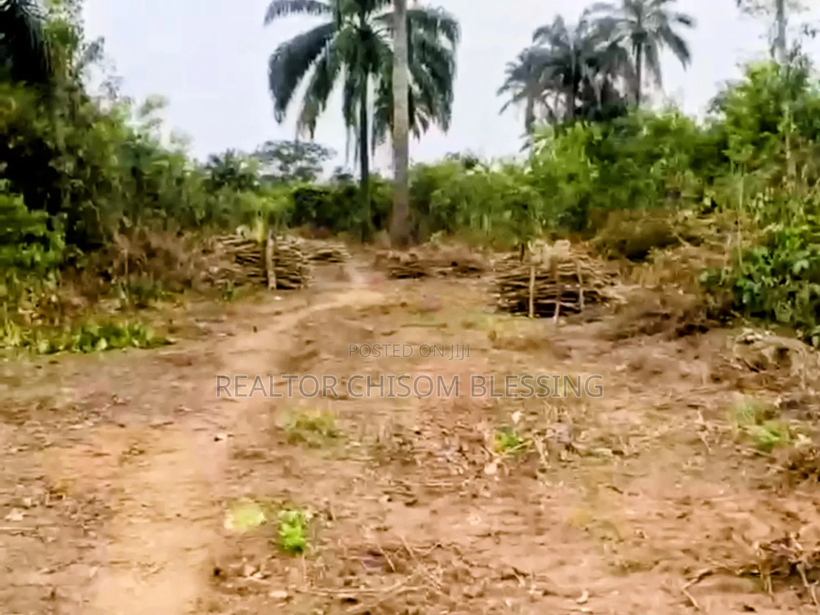 Full Plot at LIMAC Courts Estate, Omagwa, Now Selling! in Omagwa