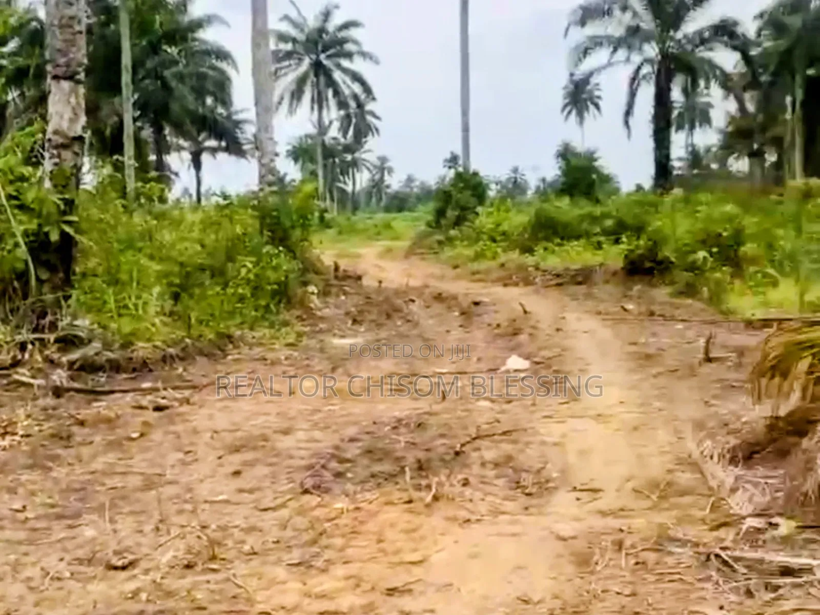 Full Plot at LIMAC Courts Estate, Omagwa, Now Selling! in Omagwa