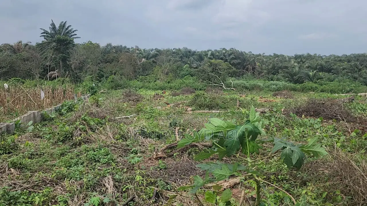 4 Plots of Land for Sale in Imota, Ikorodu in Adamo