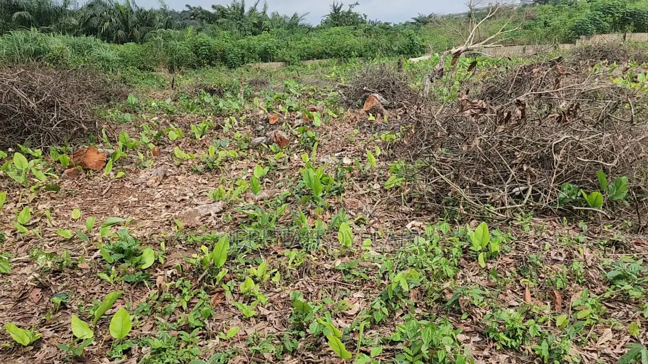 10 Acres of Land for Sale in Ikoyi, Osun State in Isokan