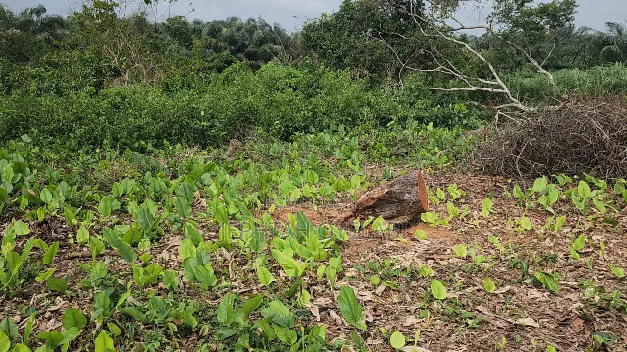 10 Acres of Land for Sale in Ikoyi, Osun State in Isokan