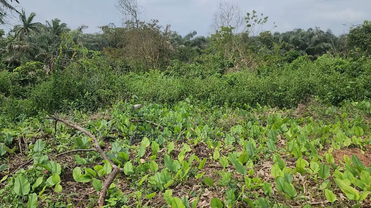 10 Acres of Land for Sale in Ikoyi, Osun State in Isokan