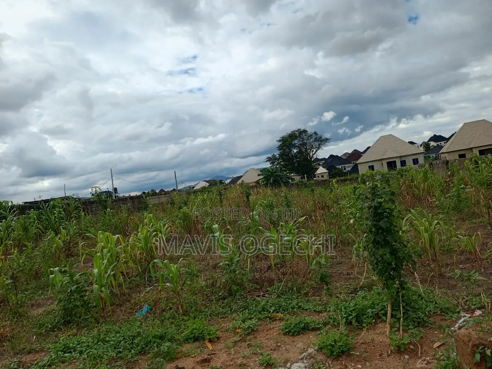Land for Sale in Phase 4 / Jikwoyi