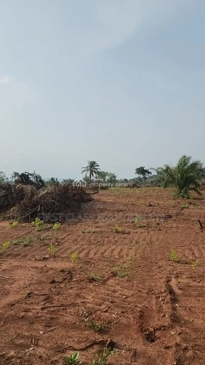 Affordable and Genuine Residential Land Within Good Proximity to Town in Enugu State