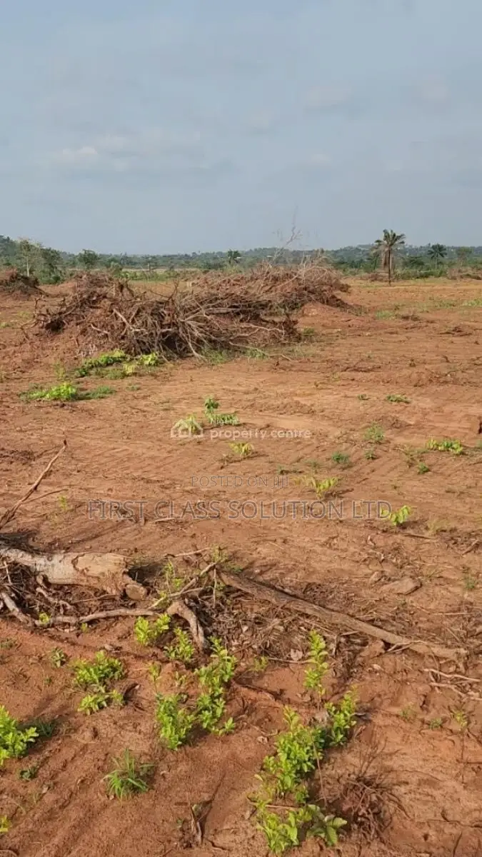 Affordable and Genuine Residential Land Within Good Proximity to Town in Enugu State