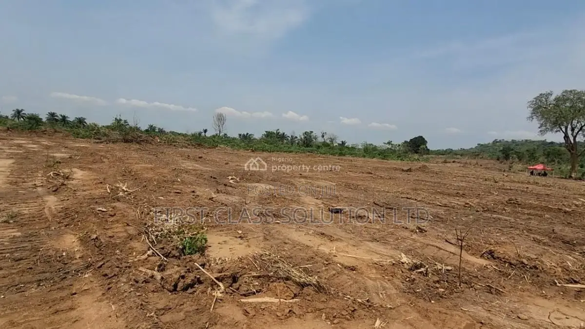Affordable and Genuine Residential Land Within Good Proximity to Town in Enugu State