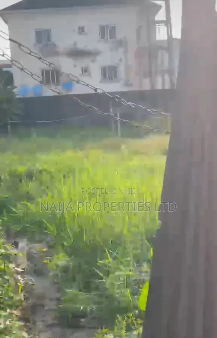 Full Plot of Land Fenced and Gated at Olokonla, Sangotedo for Rent in Sangotedo