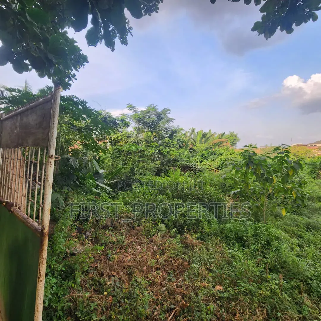 Several Plot of Land in Developed Area in Ibadan