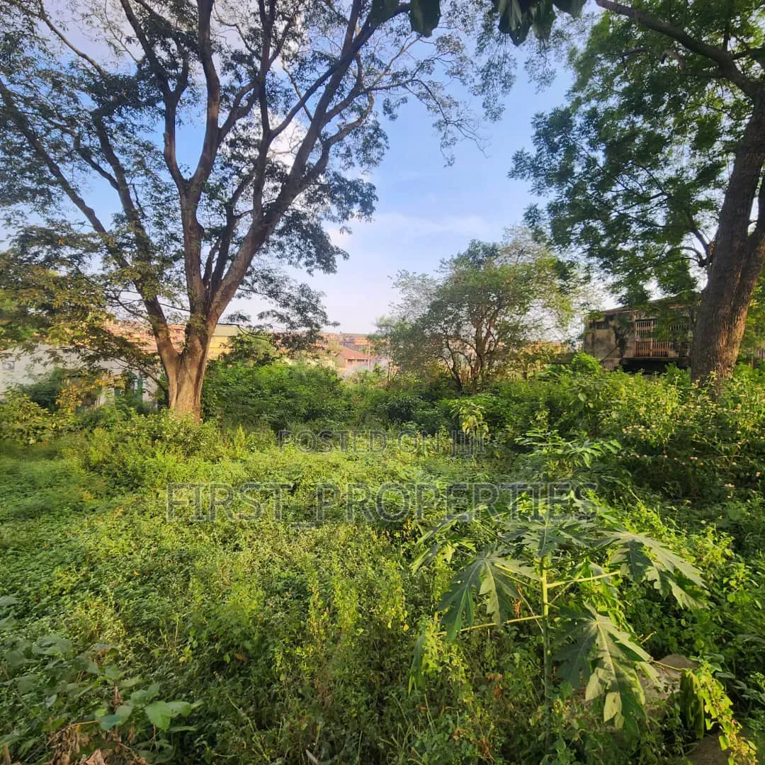 Several Plot of Land in Developed Area in Ibadan