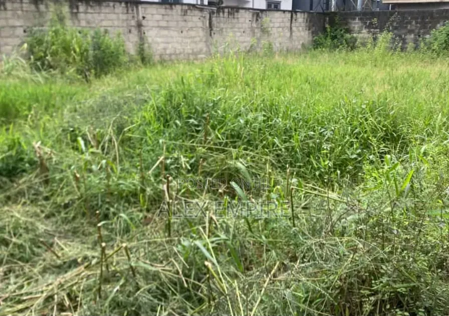 Half Plot of Land for Sale in Startimes Estate in Ago Palace