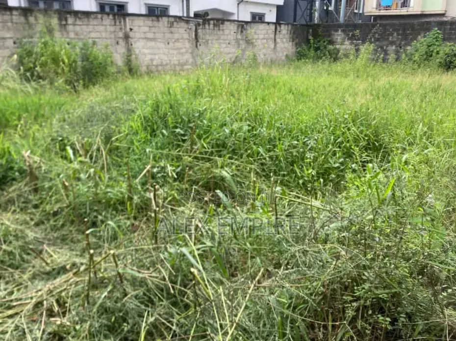 Half Plot of Land for Sale in Startimes Estate in Ago Palace