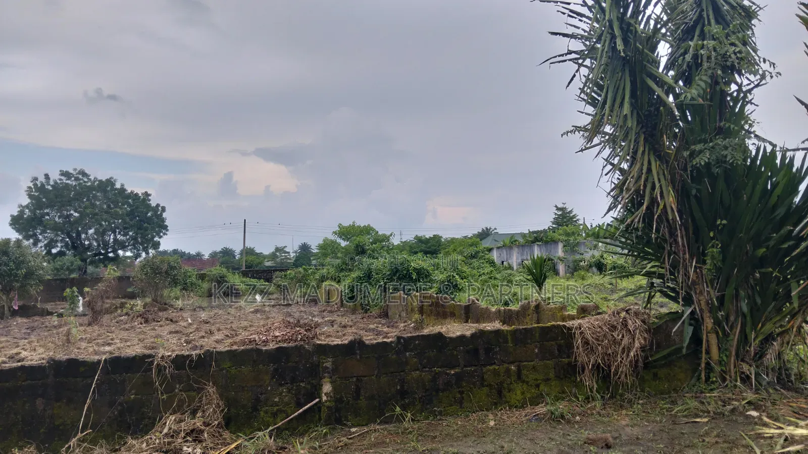 For Sale : 1 Plot at Omokiri , Aluu, Ph in Ikwerre