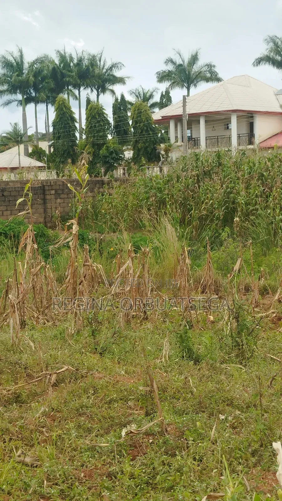 Change of Ownership in Jos