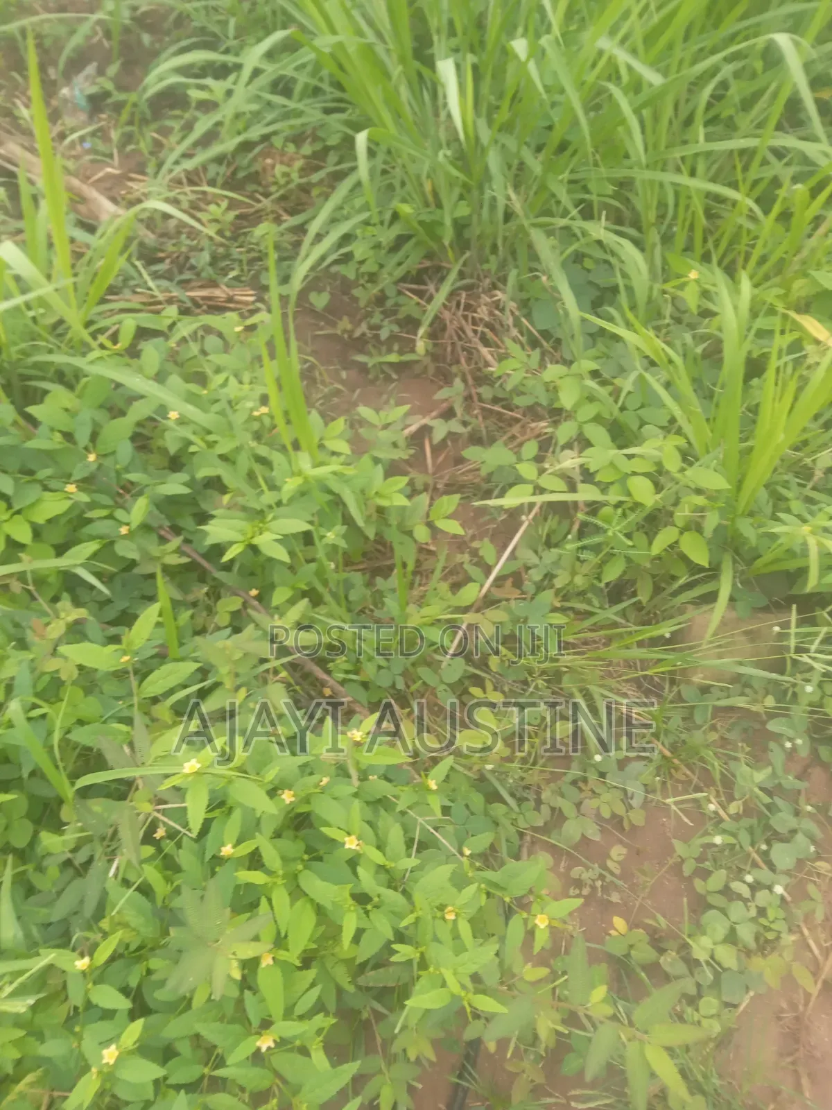 900 Square Meters at Jakand Estate Lekki for Sale in Jakande