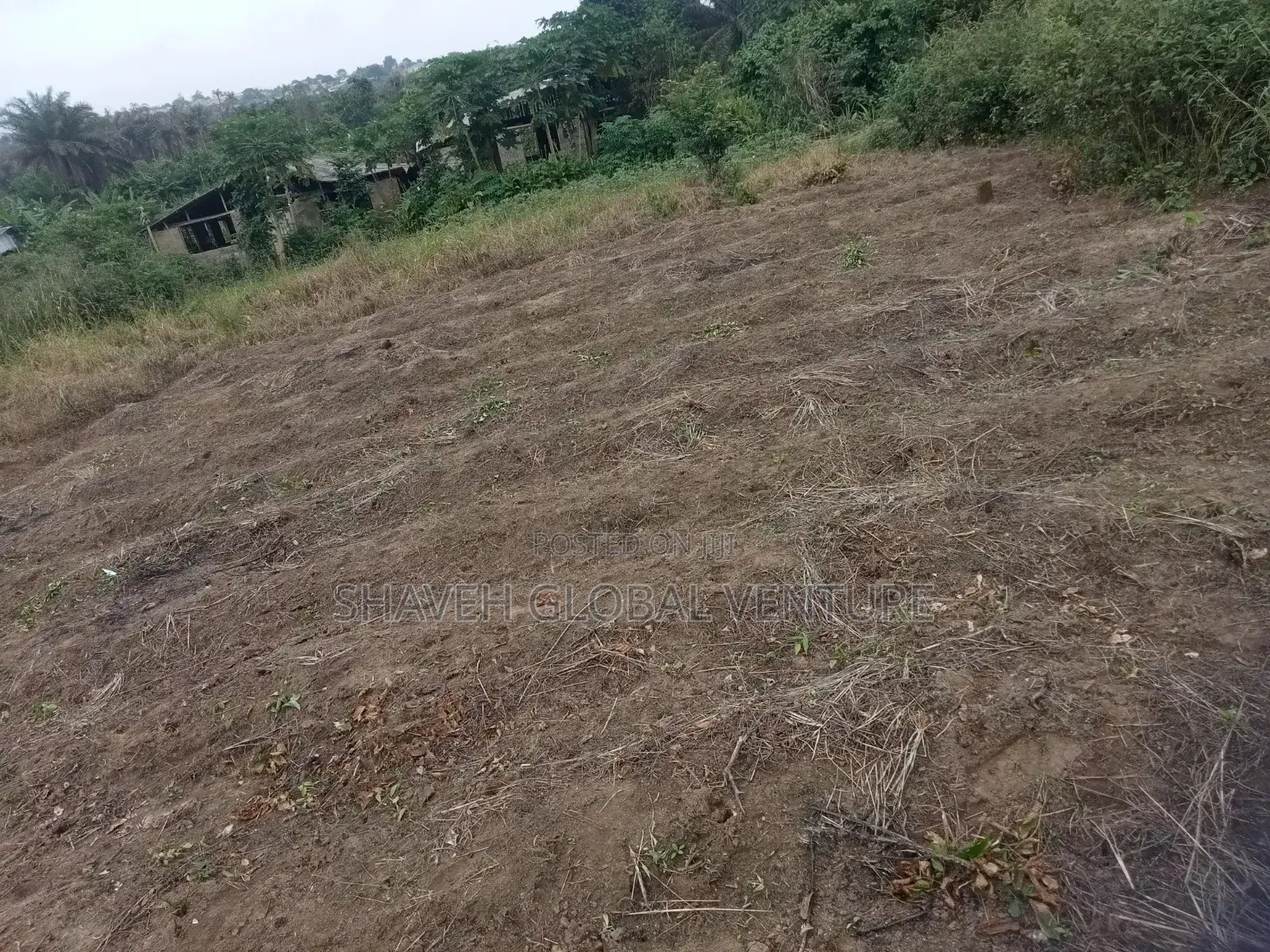 3600sqm Land for Sale Arobieye in Ado-Odo/Ota