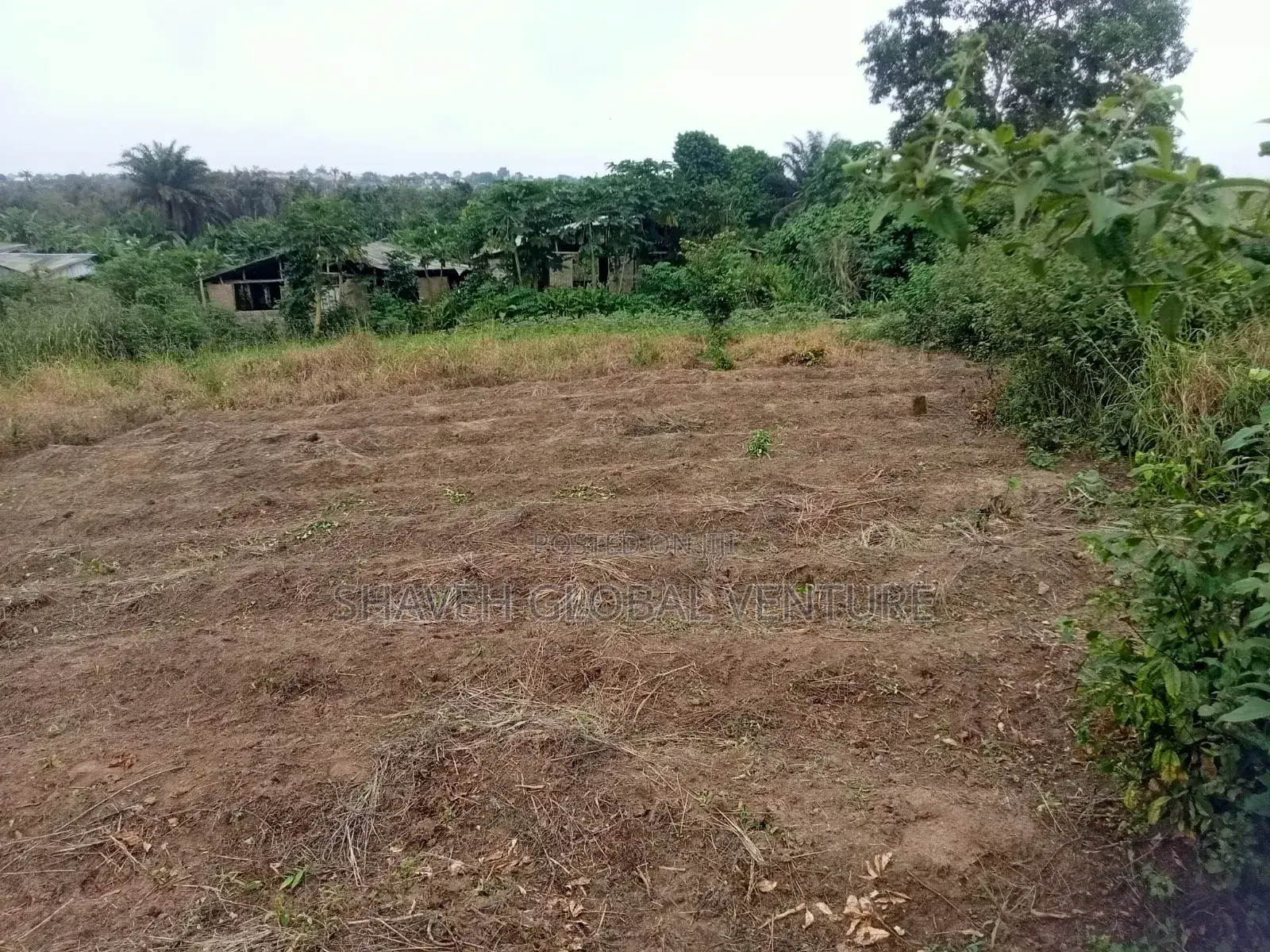 3600sqm Land for Sale Arobieye in Ado-Odo/Ota