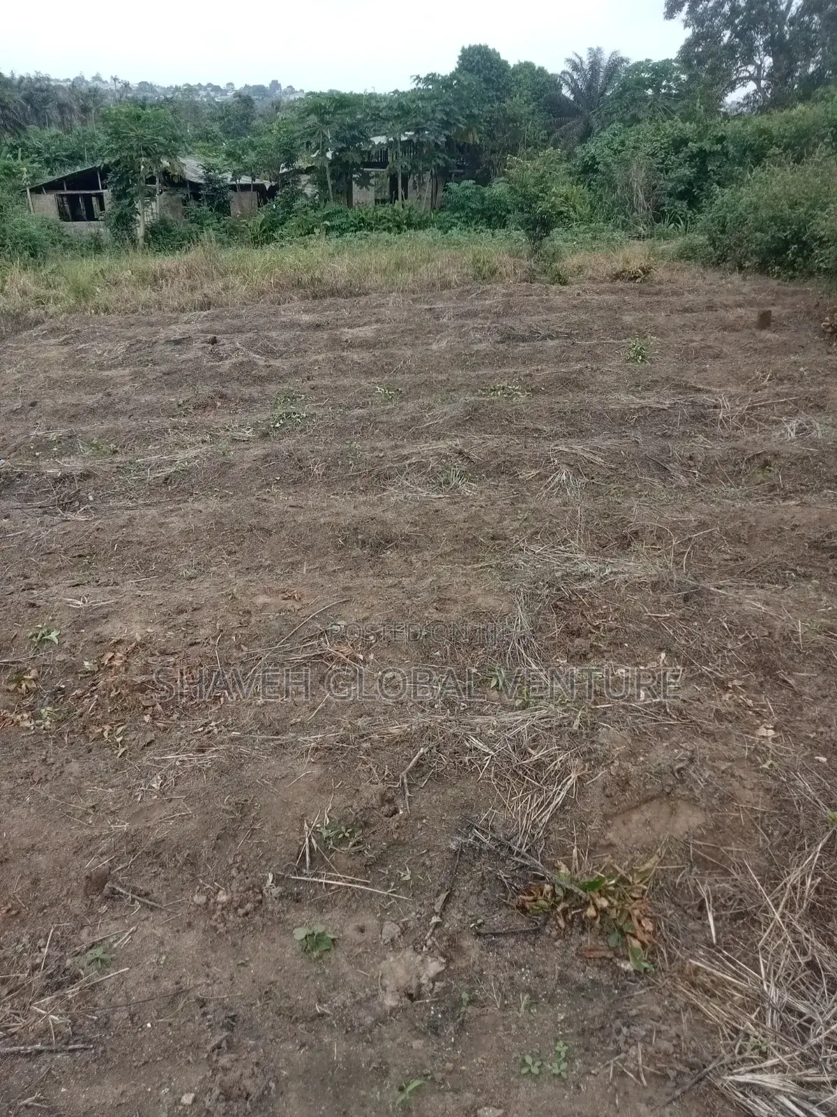 3600sqm Land for Sale Arobieye in Ado-Odo/Ota