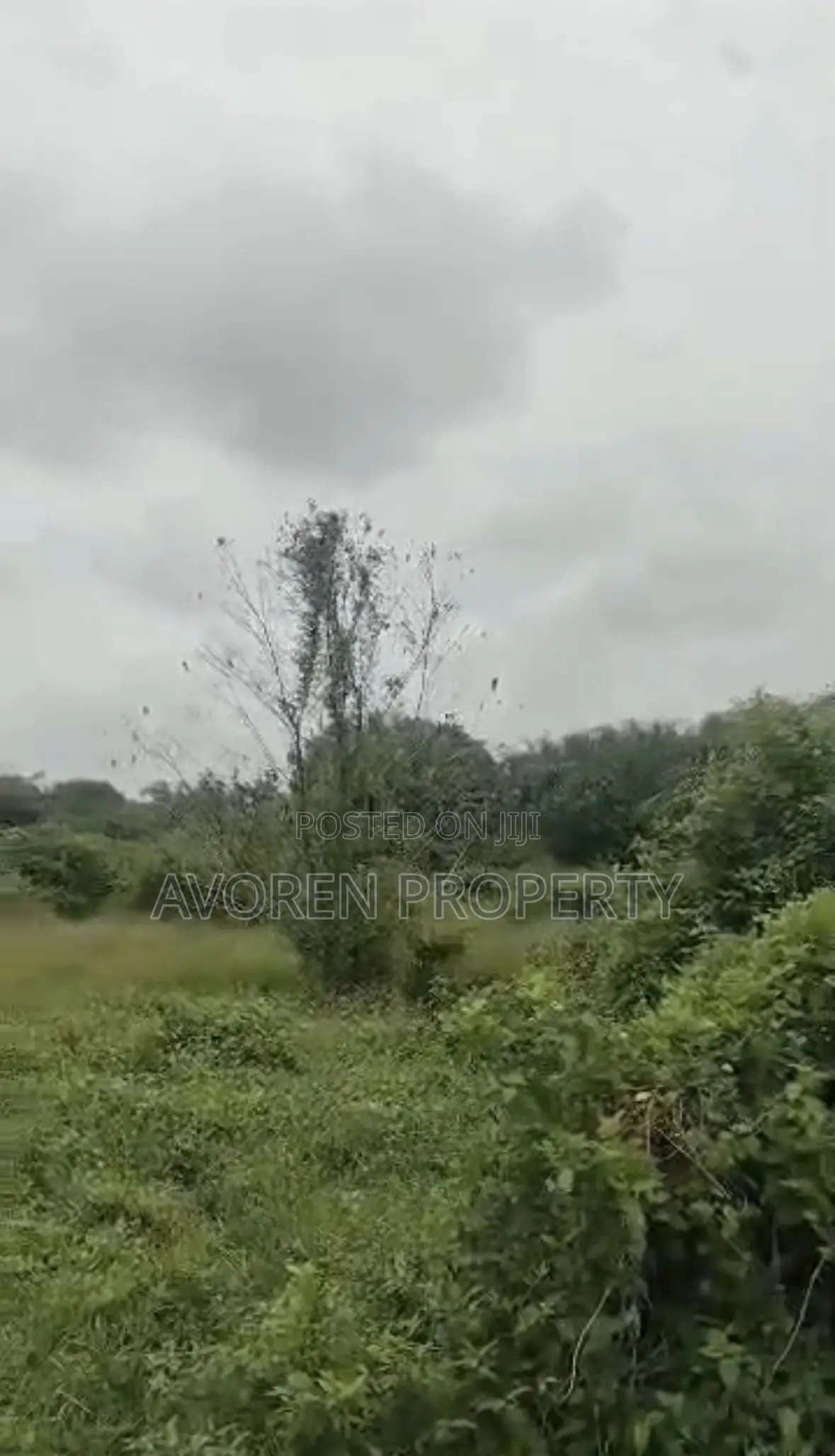 4 Plot of Land for Sale at Eleko Facing Road in Lagos State