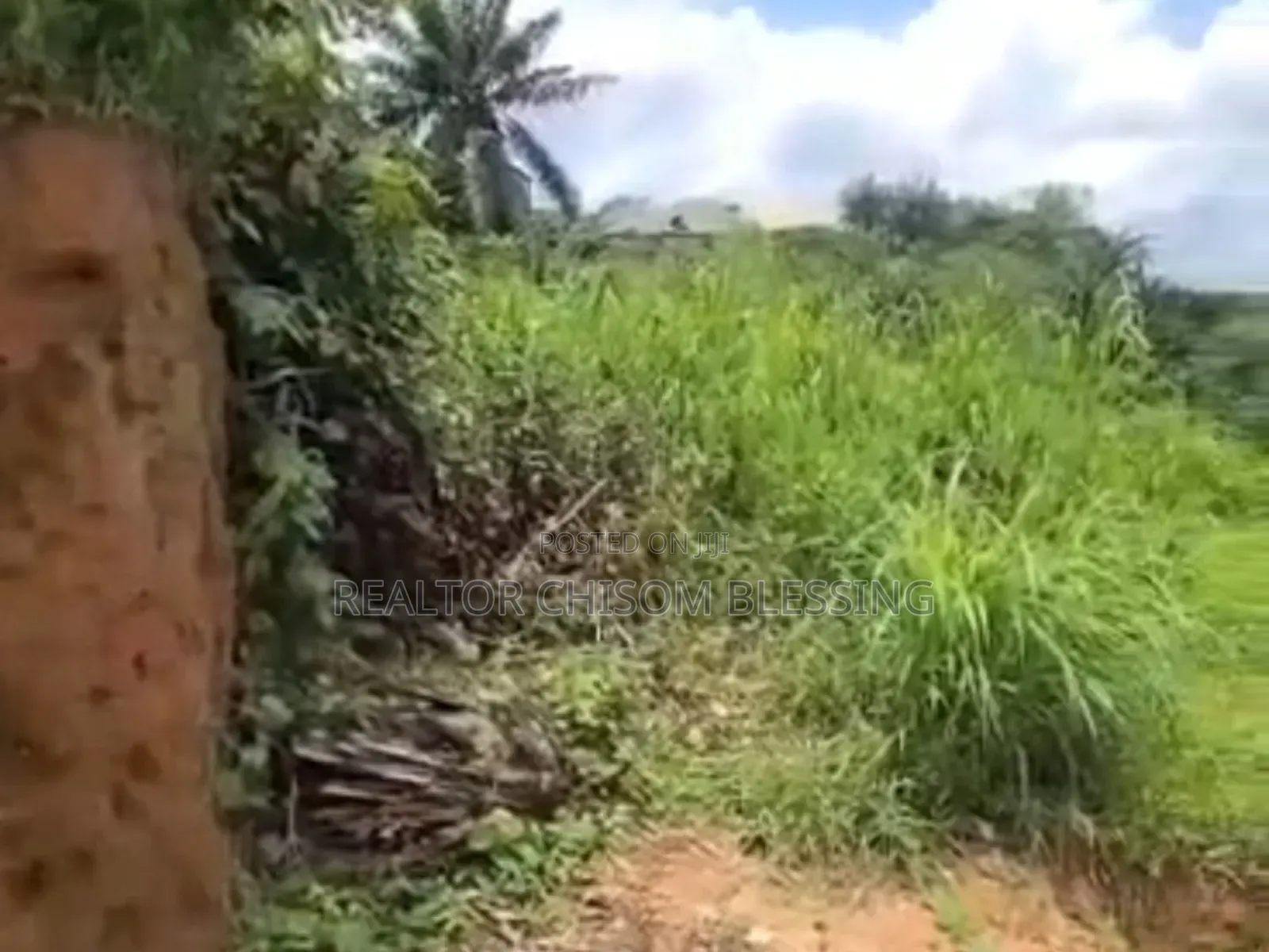1 Plot for Sale in Amuzukwu Ibeku, Umuahia in Umuahia