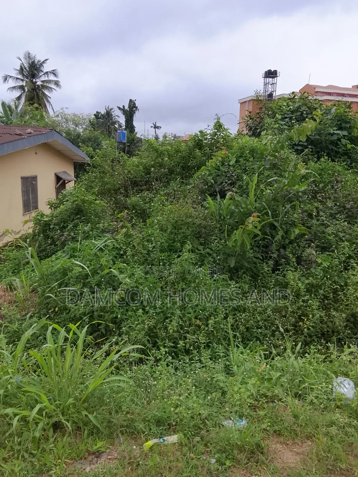 Land for Sale in Apata