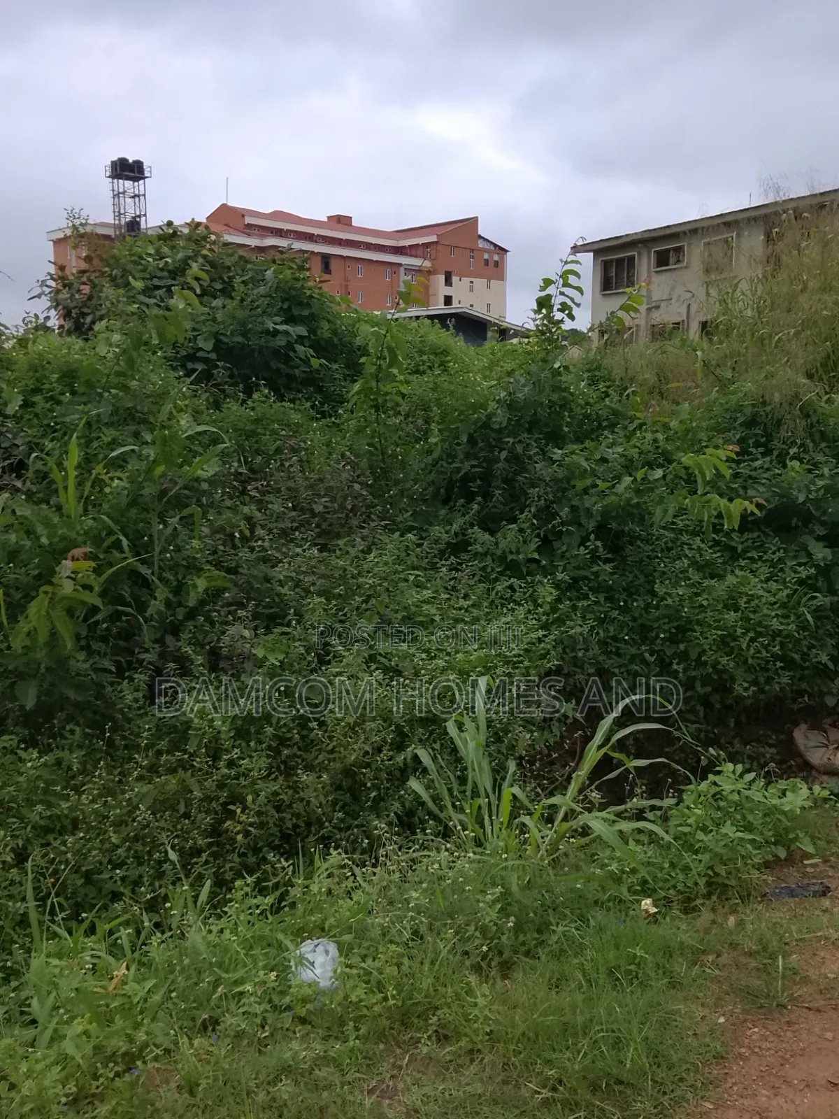Land for Sale in Apata