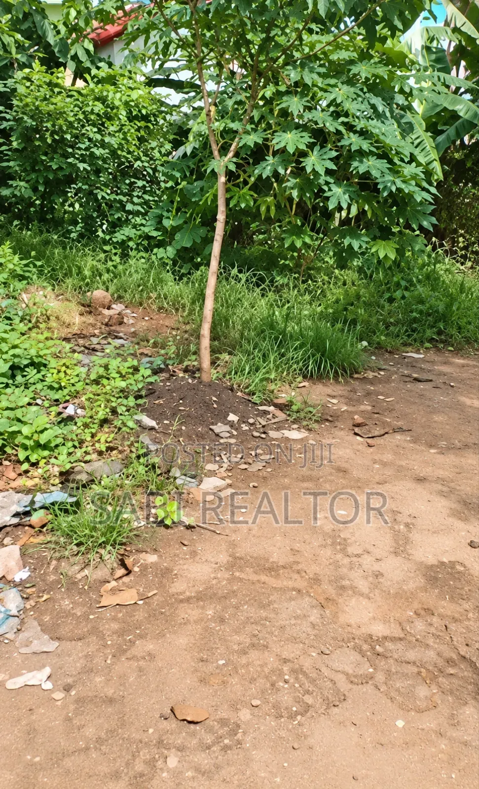 3 Plots of Land at Ishefun Ayobo Suitable for Commercial Purpose in Ayobo