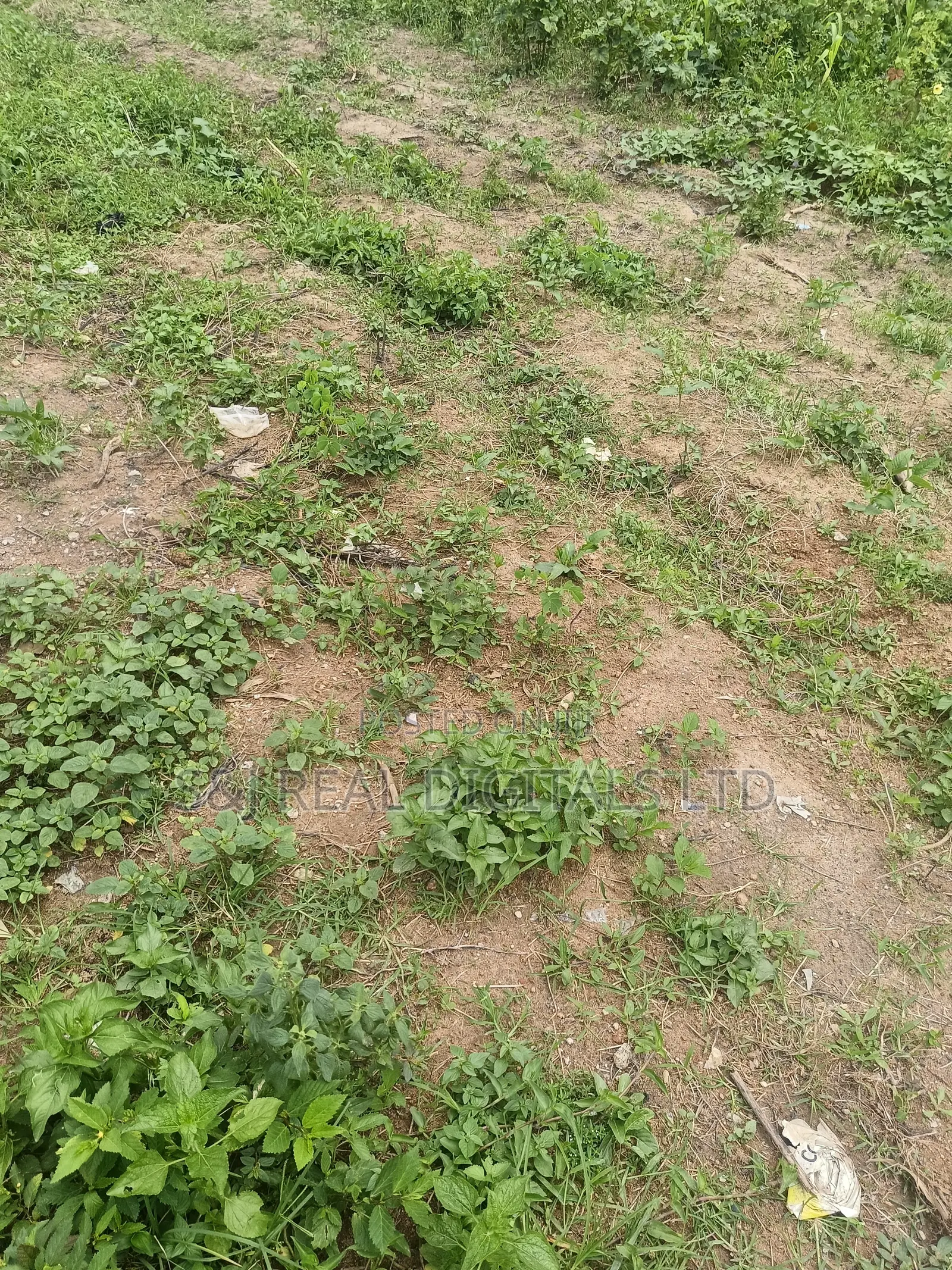 Land for Sale in Guzape Main in Guzape District