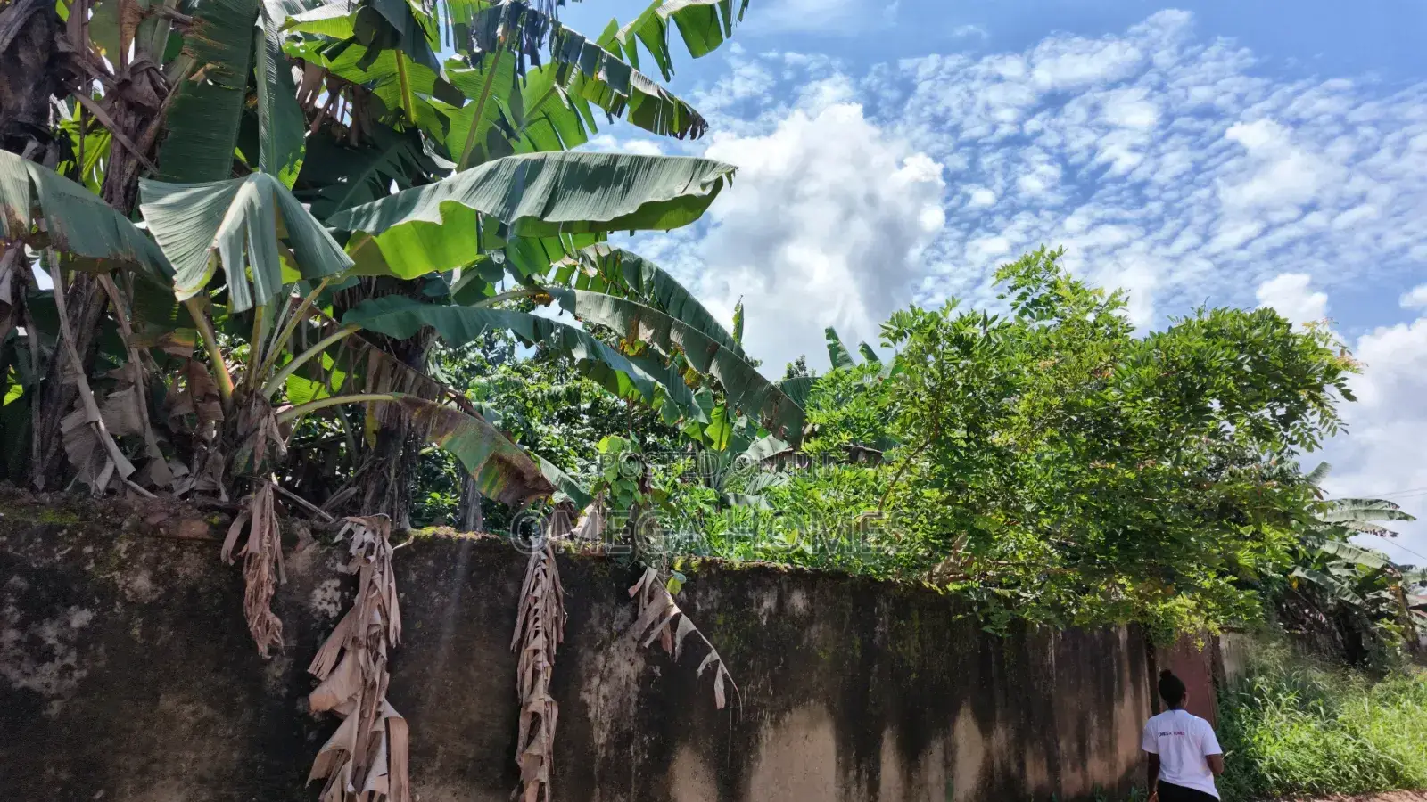 4 Plot of Land in Umuahia for Sale in Umuahia
