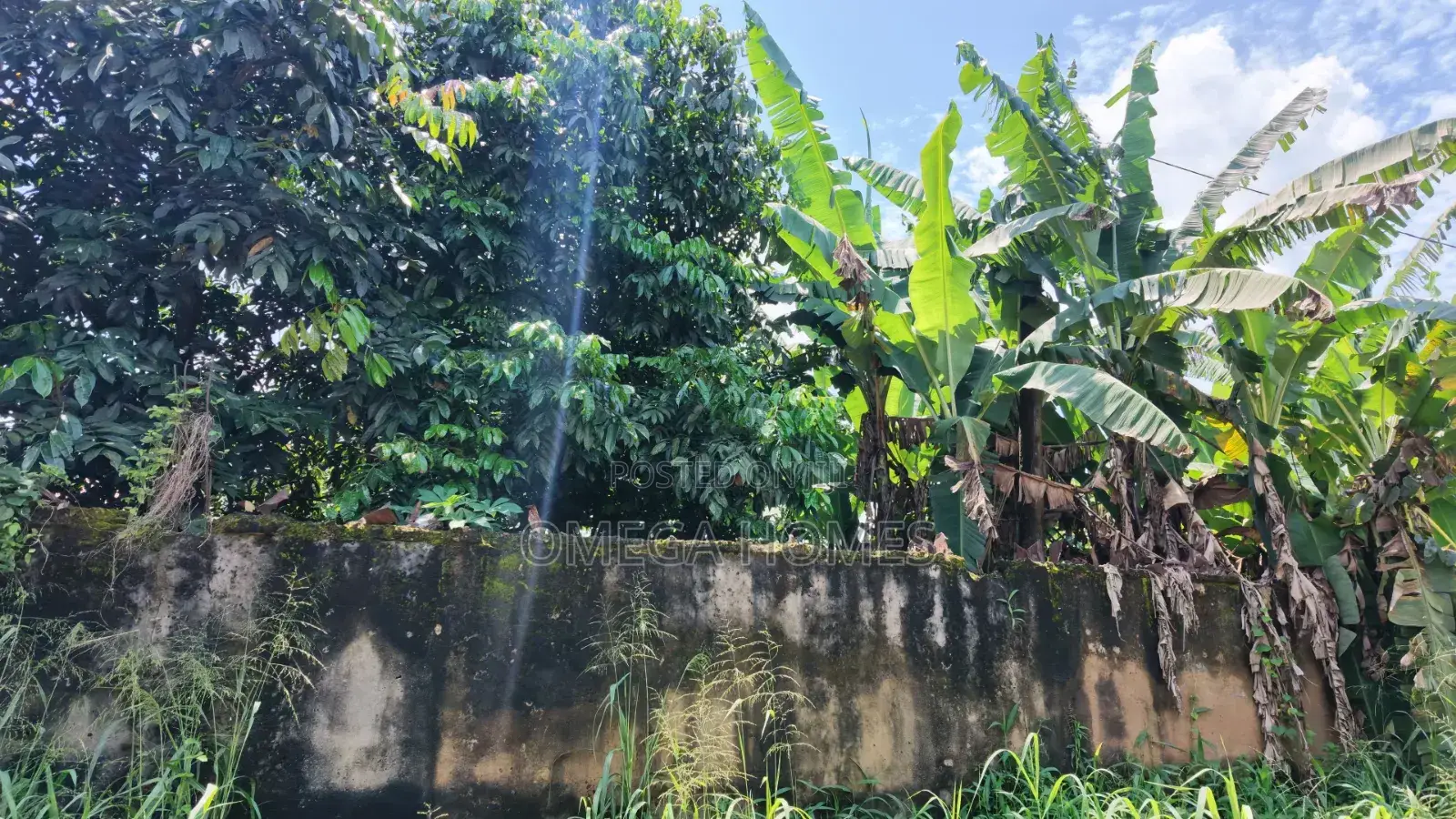 4 Plot of Land in Umuahia for Sale in Umuahia