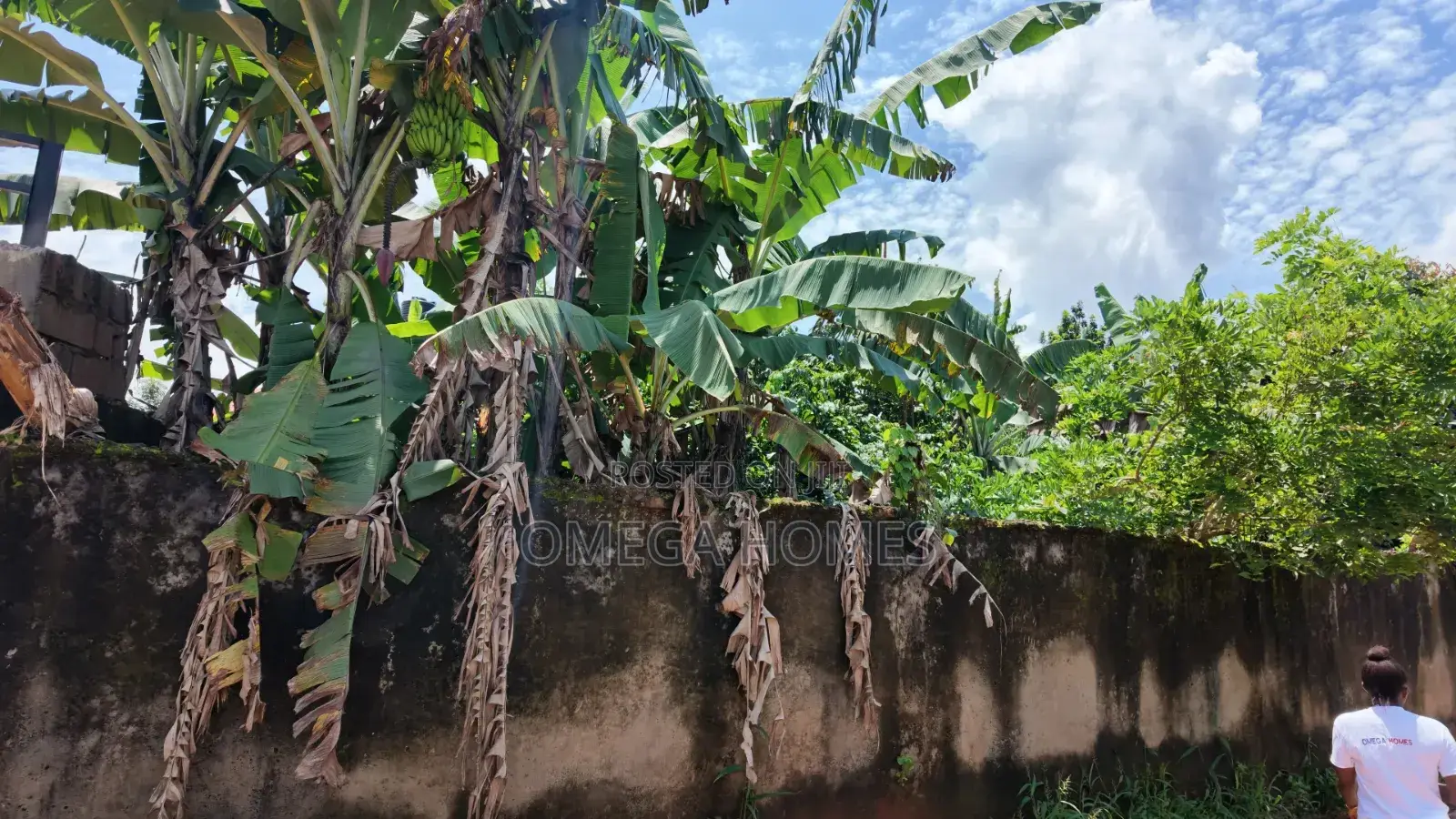 4 Plot of Land in Umuahia for Sale in Umuahia