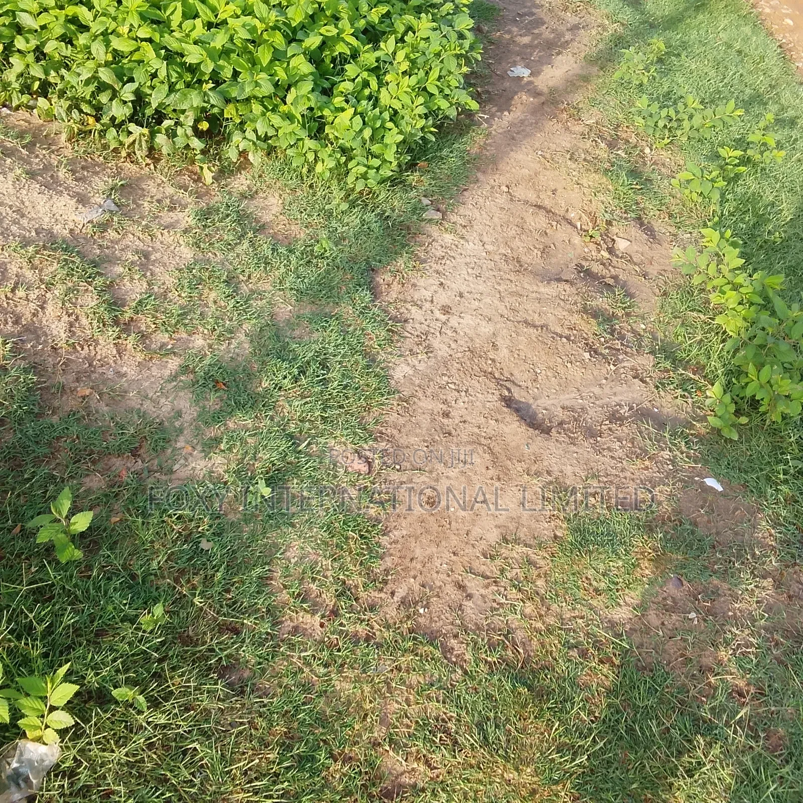 1500 SQM at Guzape Main in Guzape District