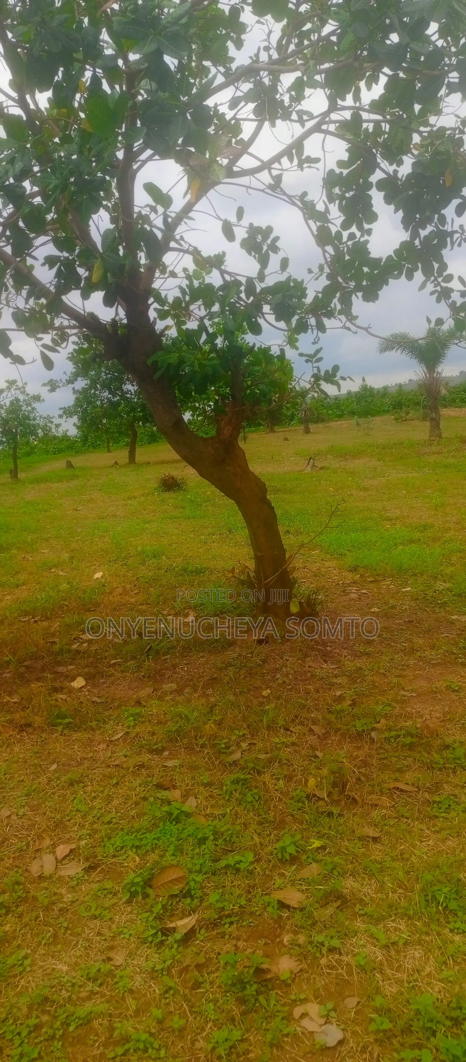 1000SQM Estate Land in Prime Location at Kuje in Kuje