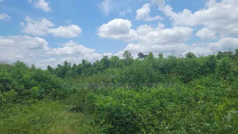 12 Plots Together for Lease in Akure