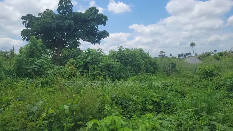 12 Plots Together for Lease in Akure