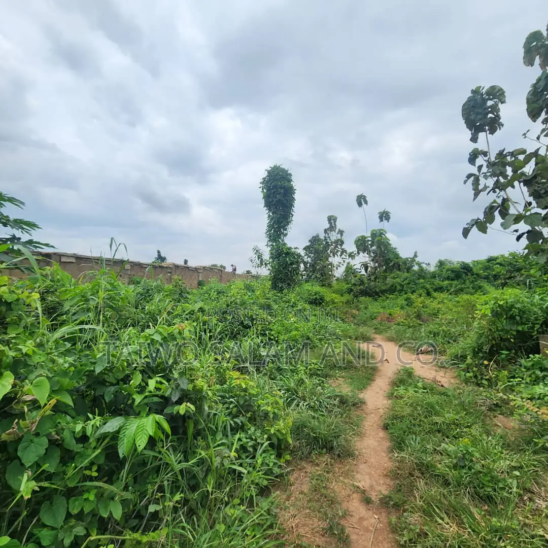 5.3acres Land With CofO in Oluwo