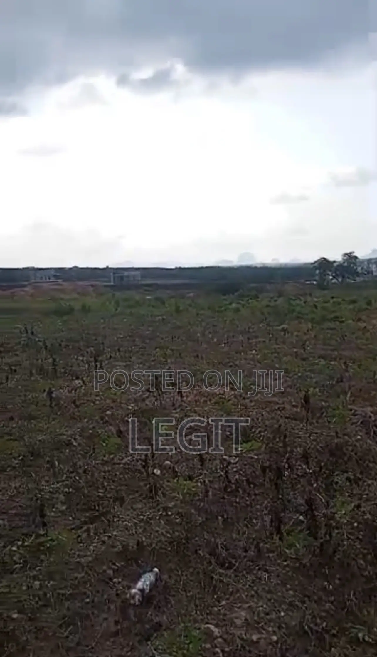 138 Hectares R of O Handy in Karsana